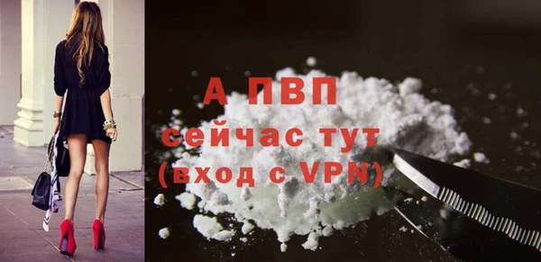 стаф Майский