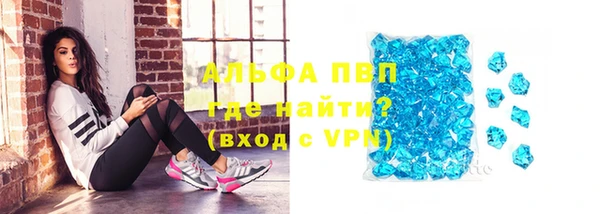 стаф Майский